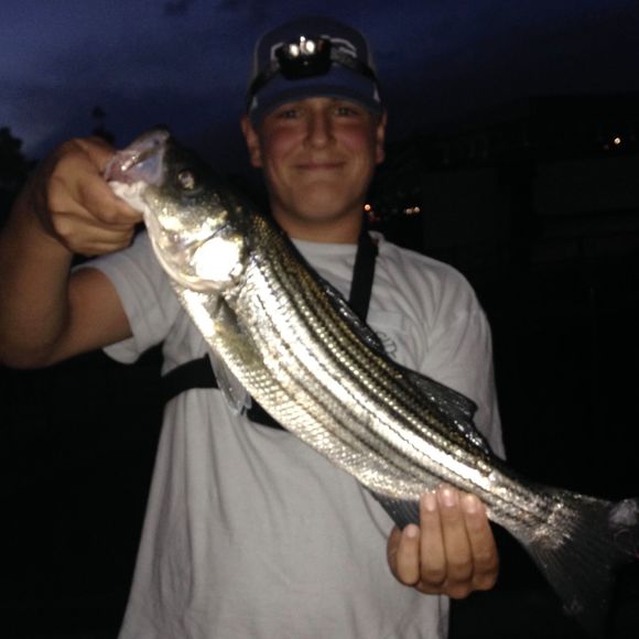 Meet your Posher, Nicholas - Picture 1 of 1